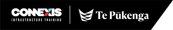 Hamilton ESI/Telco/other Assessor Forum logo
